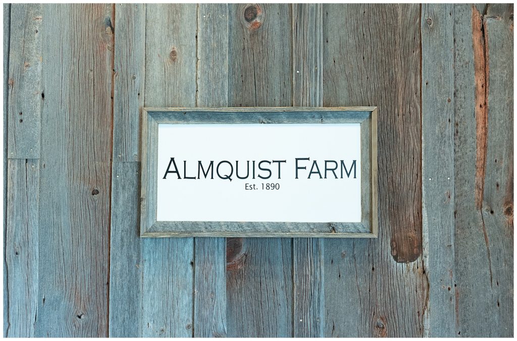 Summer Wedding At Almquist Farm